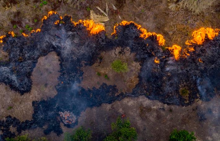 Amazonský prales v plameňoch