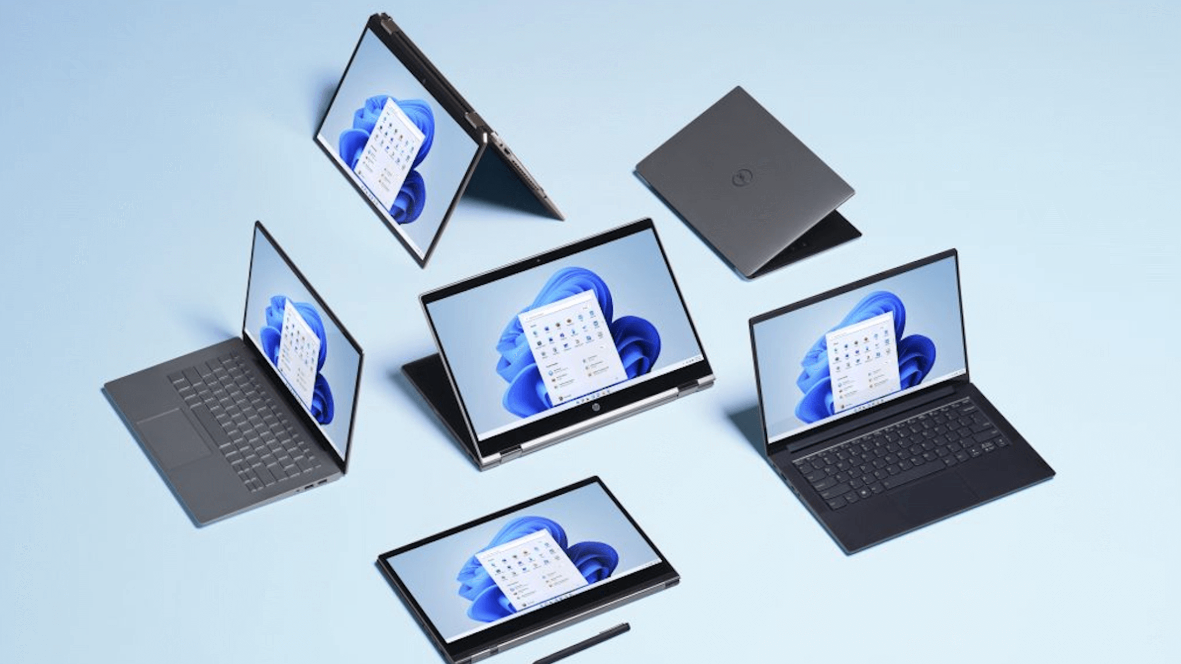 Windows 11