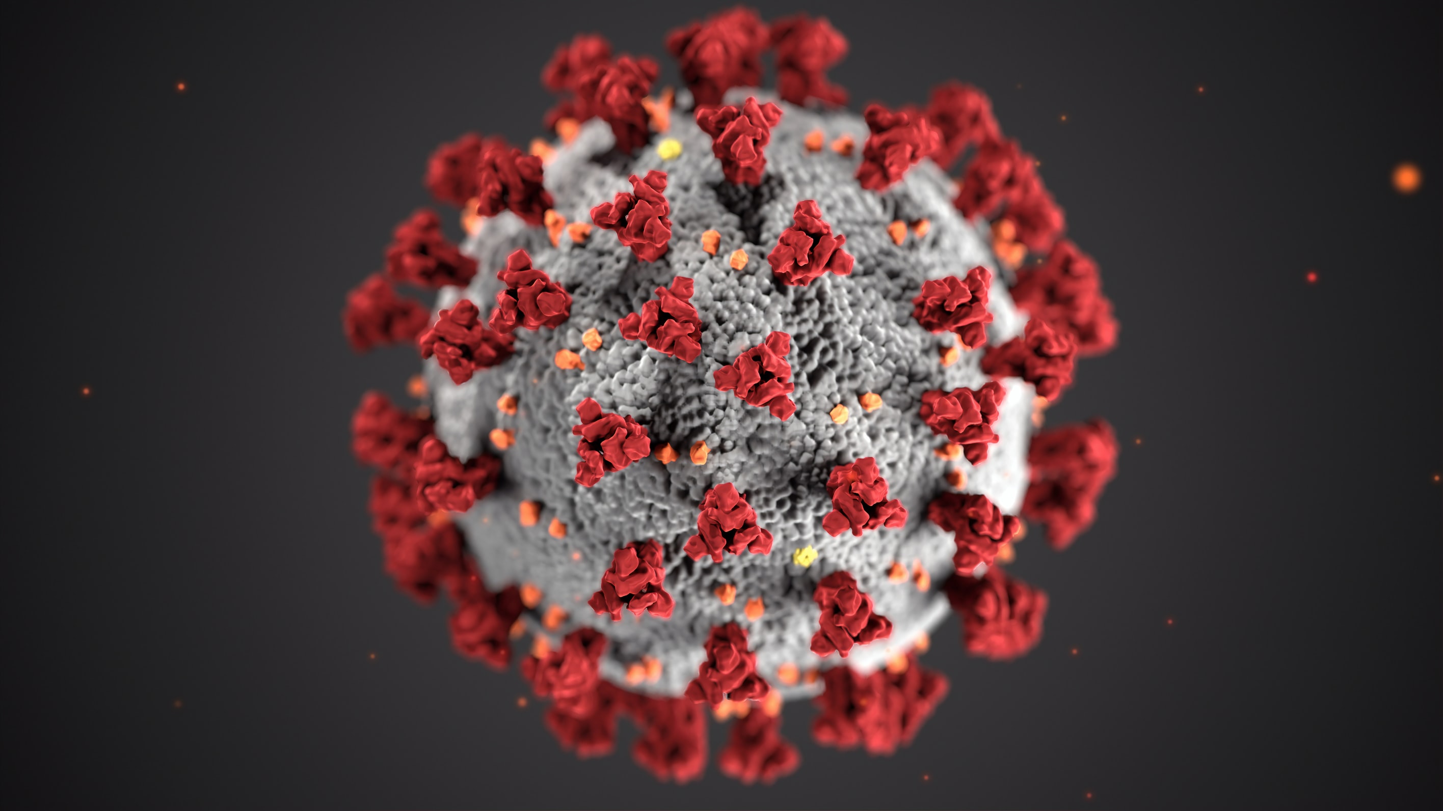 Une combinaison de Delta et Omicron ?  Le « deltacron », une nouvelle variante du coronavirus, fait son apparition en France